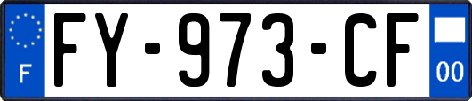 FY-973-CF