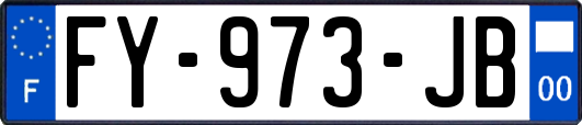 FY-973-JB