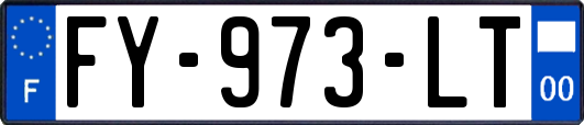 FY-973-LT