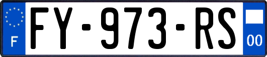 FY-973-RS
