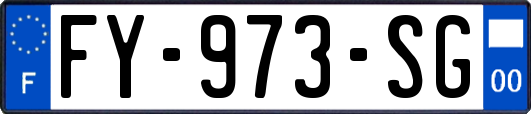 FY-973-SG