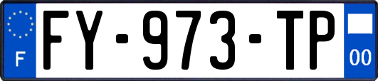 FY-973-TP