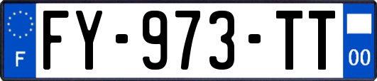 FY-973-TT