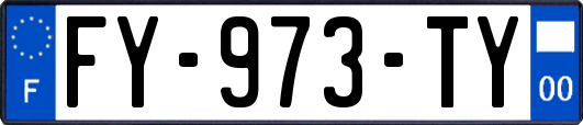 FY-973-TY