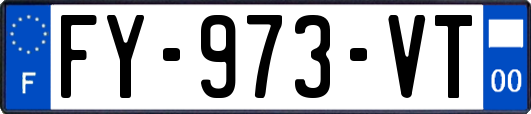 FY-973-VT