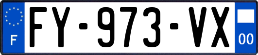FY-973-VX