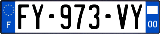 FY-973-VY