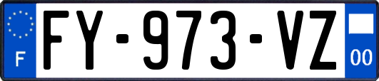 FY-973-VZ