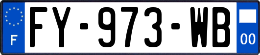 FY-973-WB