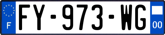 FY-973-WG