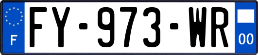 FY-973-WR