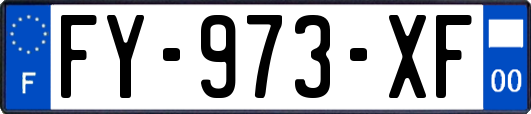 FY-973-XF