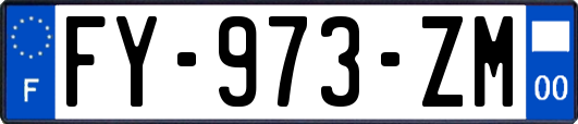 FY-973-ZM