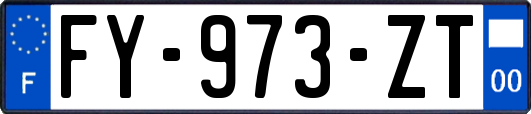 FY-973-ZT