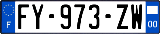 FY-973-ZW