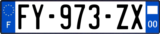FY-973-ZX