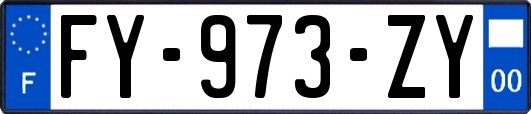 FY-973-ZY