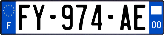 FY-974-AE