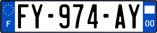 FY-974-AY