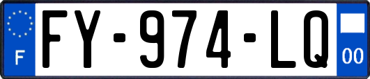 FY-974-LQ