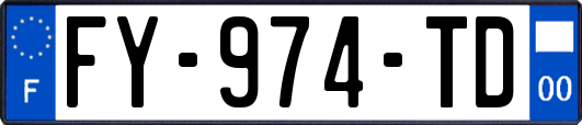 FY-974-TD