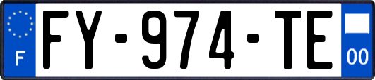 FY-974-TE