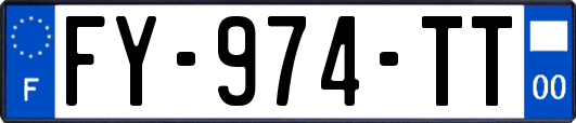 FY-974-TT