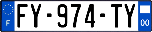 FY-974-TY