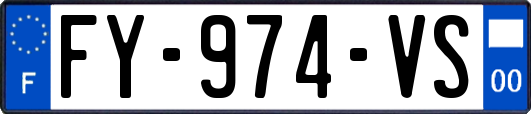FY-974-VS