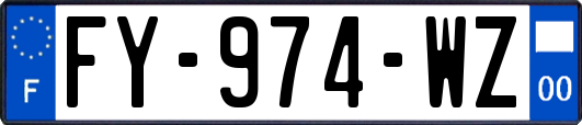 FY-974-WZ