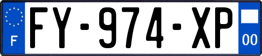 FY-974-XP
