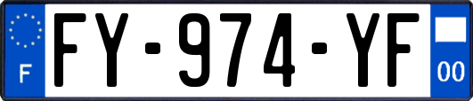FY-974-YF