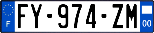 FY-974-ZM