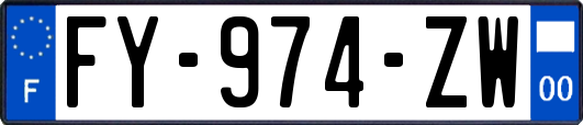 FY-974-ZW