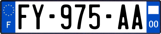 FY-975-AA