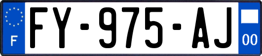 FY-975-AJ