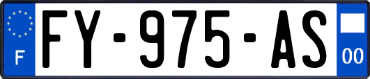 FY-975-AS