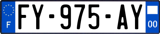 FY-975-AY