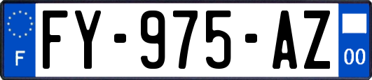 FY-975-AZ