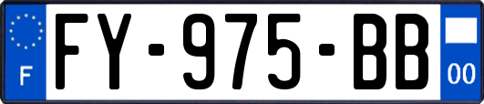 FY-975-BB