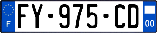 FY-975-CD