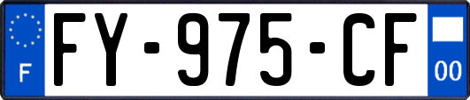 FY-975-CF