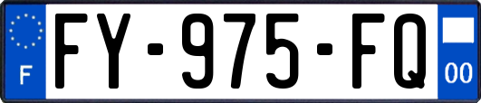 FY-975-FQ