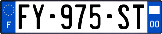 FY-975-ST