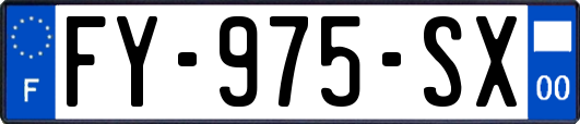 FY-975-SX