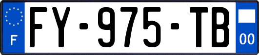 FY-975-TB