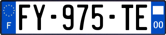 FY-975-TE
