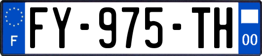 FY-975-TH