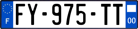 FY-975-TT