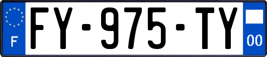 FY-975-TY
